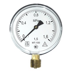 Манометр МТ100 1,6МПа G1/2 дюймовая Экомера